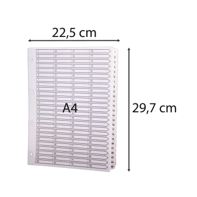 Afbeelding van Exacompta ref. MWD1 100Z Wit kartonnen tabbladen 160g/m2 FSC® met 100 numerieke bedrukte tabs van 1 tot en gelamineerd Afdrukbare indexpagina Formaat A4