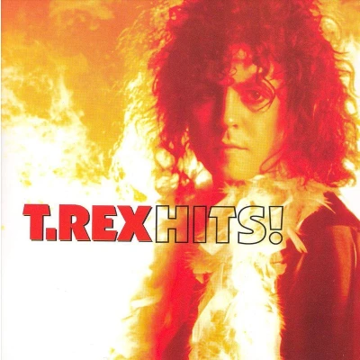 Afbeelding van The Very Best Of T Rex