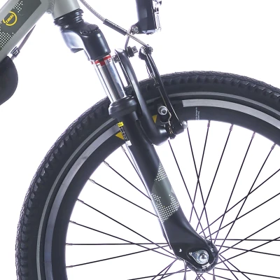 Afbeelding van Alpina Verende voorvork 22 Trial black matt