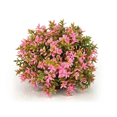 Afbeelding van Decobol pink biOrb