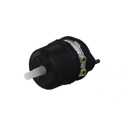 Afbeelding van Combi remcilinder WABCO 9254810130
