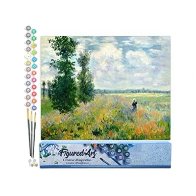 Afbeelding van Figured&#039;Art Schilderen op Nummer Volwassenen canvas Monet Veld met klaprozen Handwerk acrylverf Kit DIY Compleet 40x50cm zonder frame