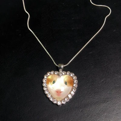 Afbeelding van GoedeDoelen.Shop Zilveren Ketting GuineaHeart Cavia Statement Cadeau Dierenwelzijn Dieren Sieraad Wellness House