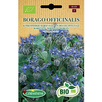 Afbeelding van Germisem Organisch Borago Officinalis Bernagie Zaden 1.5 g