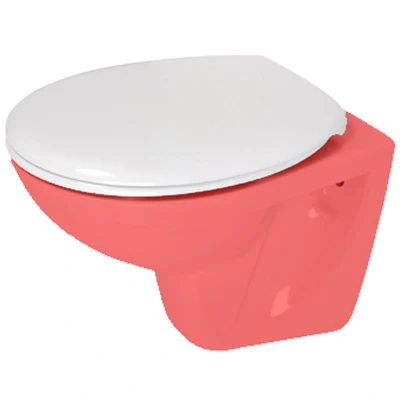 Afbeelding van Plieger Royal toiletzitting met deksel duroplast RVS