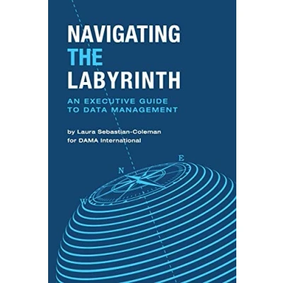 Afbeelding van Navigating the Labyrinth: An Executive Guide to Data Management