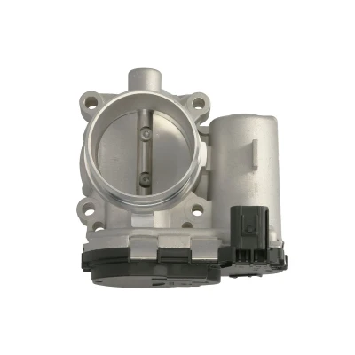 Afbeelding van Magneti Marelli Gasklephuis 802000000117