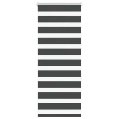Afbeelding van Zebra rolgordijn 60x150 cm stofbreedte zwart 55,9
