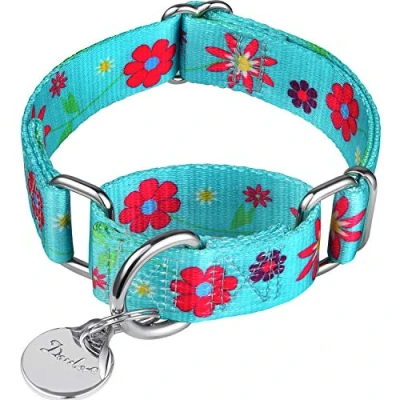 Afbeelding van Dazzber Martingale halsbanden voor honden zachte verstelbare hondenkraag, duurzame D ring Heavy Duty, Choke kraag grote middelgrote kleine honden, Medium, 2.5cm Wide, Teal and Sun Flower