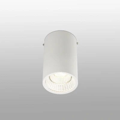 Afbeelding van Faro Lighting Rel LED 1 Licht Ronde Opbouw Downlight Wit