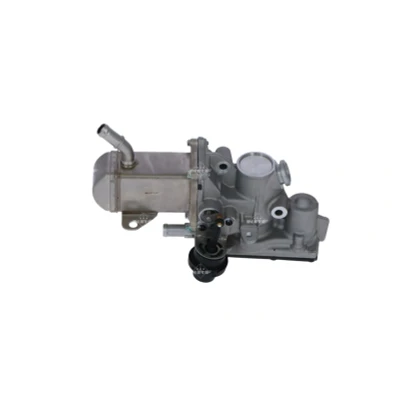 Afbeelding van EGR klep NRF 48207