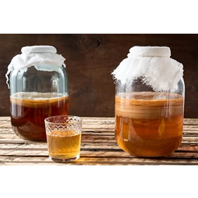 Afbeelding van Grote Kombucha Scoby Vanaf Kombuchaorganic®