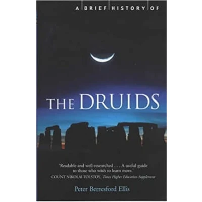 Afbeelding van A Brief History of the Druids