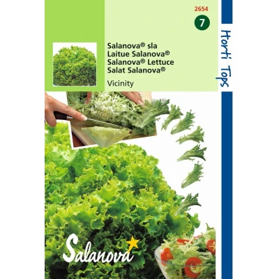 Afbeelding van Hortitops 2 stuks Salanova Virtuose RZ Groen wordt Vivanto