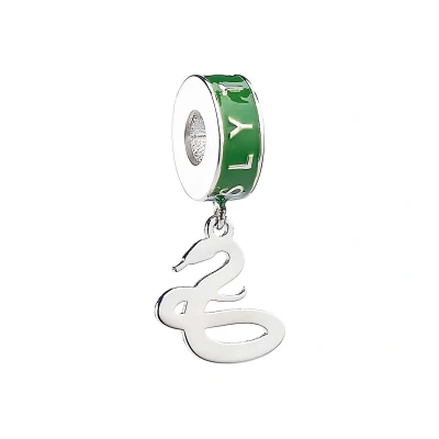 Afbeelding van Harry Potter Sterling Silver Slytherin House Slider Charm