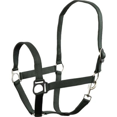 Afbeelding van BR Premiere halster Soft Economic Pony Groen