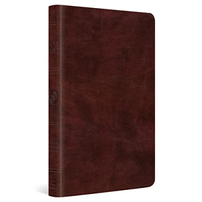 Afbeelding van ESV Large Print Thinline Bible
