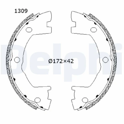 Afbeelding van Delphi Diesel Remschoen set LS2202