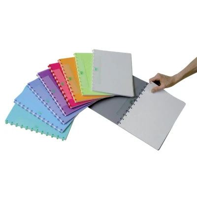 Afbeelding van Schrift Adoc A4 ruit 5x5mm 144blz 90gr PP assorti
