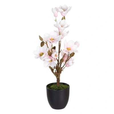 Afbeelding van Decoratieve plant Polyester Polyethyleen Ijzer 30 x 60 cm Magnolia