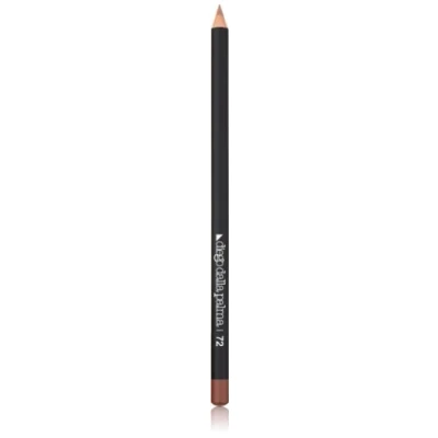 Afbeelding van Diego dalla Palma DF113072 lippotlood 72 Marrone bruciato 1,5 g