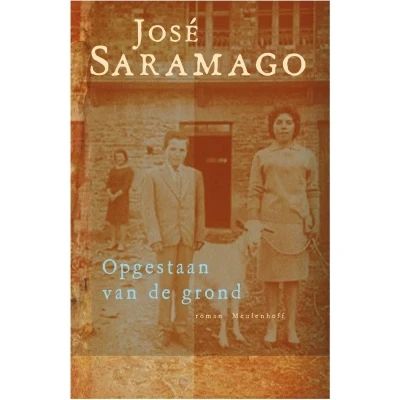 Afbeelding van Opgestaan van de grond (Hardback)