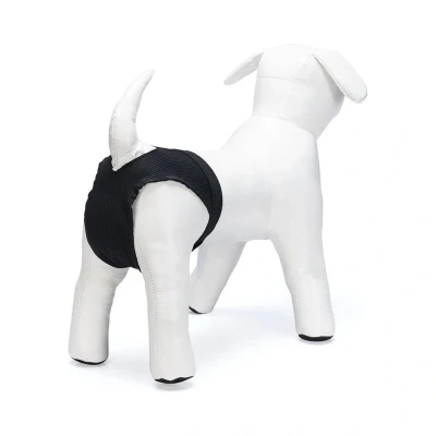 Afbeelding van Beeztees BZ Loopsheidbroekje BZ795501 Hond