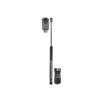 Afbeelding van STABILUS 600184 Gasveer Motorkap 325N TESLA: Model S (5YJS) Plaid AWD, EV AWD 2021