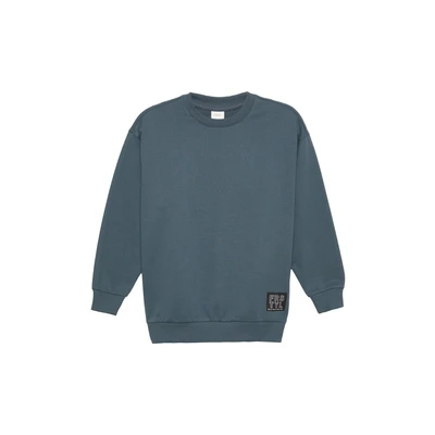 Afbeelding van s.Oliver MIT BÜNDCHEN UND Logopatch Sweater voor kinderen, Maat: 146/152, Schiefergrau