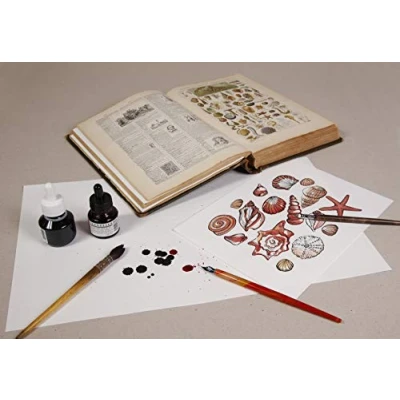 Afbeelding van Clairefontaine 975400C Ries met 100 vellen vloeipapier, DIN A4, 21 x 29,7 cm 250 g, 1 res, wit