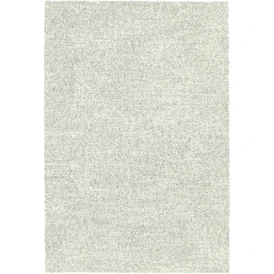 Afbeelding van Hoogpolig Vloerkleed Marshall Wit/Zilver 6248 160x230cm Antoin Carpets