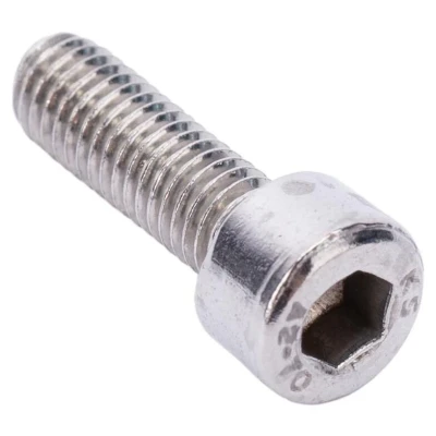 Afbeelding van Dresselhaus Cylinder bolts 5x25mm a2 with inside hex. 100 p