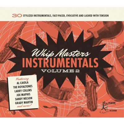 Afbeelding van Various Artists Whip Masters Instrumental Vol.2 (CD)