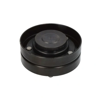 Afbeelding van Dayco Geleiderol (poly) V riem APV2624
