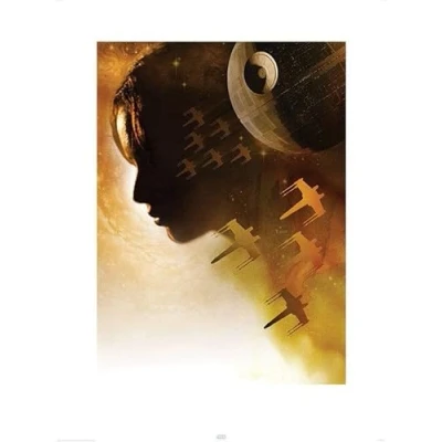 Afbeelding van Kunstdruk Star Wars Rogue One Jyn Silhouette 60x80cm