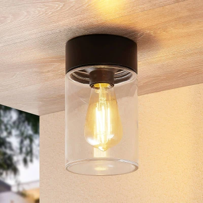 Afbeelding van Arcchio plafondlamp 1licht aluminium, glas H: 20.5 cm E27 zwart, helder