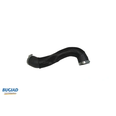 Afbeelding van Laadluchtslang BUGIAD 82269