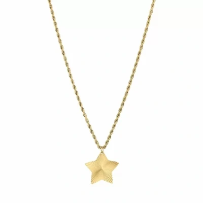 Afbeelding van Bijoutheek Collier Ster Gedraaid Goud