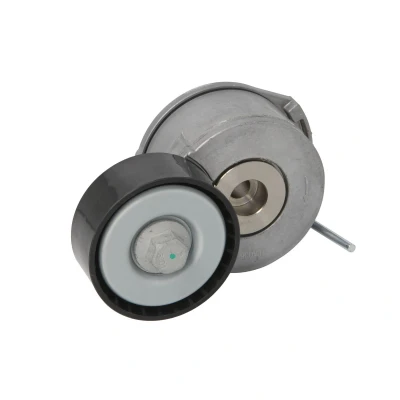 Afbeelding van Riemspanner, Poly V riem BTA E3C0025BTA
