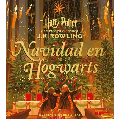 Afbeelding van Navidad en Hogwarts