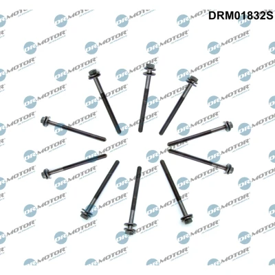 Afbeelding van Dr.Motor Automotive Cilinderkopboutenset DRM01832S