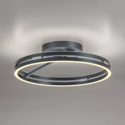 Afbeelding van Paul Neuhaus Ronde plafondlamp Pure Loop grijs 6552 15