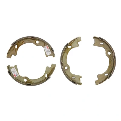 Afbeelding van Delphi Diesel Remschoen set LS2129