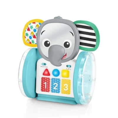 Afbeelding van Baby Einstein Chase &amp; Tap Earl™ kruip en activiteitenspeeltje