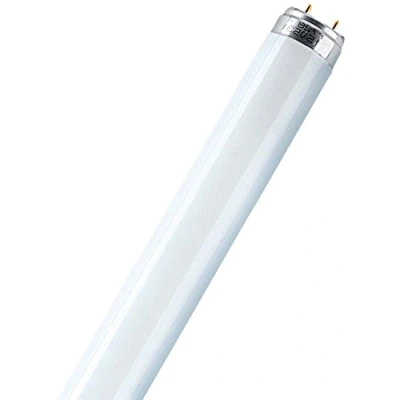 Afbeelding van TL lamp L 30 Watt 865 daglicht Osram 30W