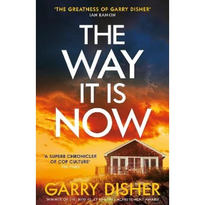 Afbeelding van The Way It Is Now