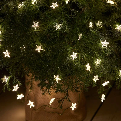 Afbeelding van Sirius LED lichtketting Trill, 40 lampjes, groene kabel