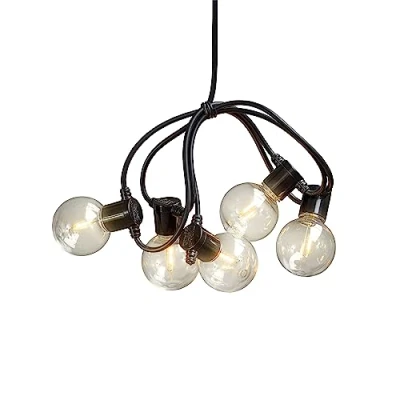Afbeelding van Lichtketting led kerstverlichting buiten en binnen 10 lampjes 2.