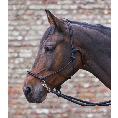 Afbeelding van Waldhausen Touwhalster met Teugels Zwart Full