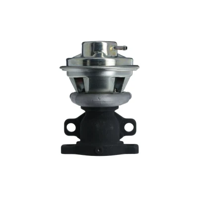 Afbeelding van EGR klep VALEO 703241